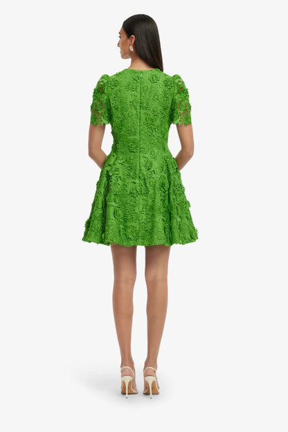 Fern