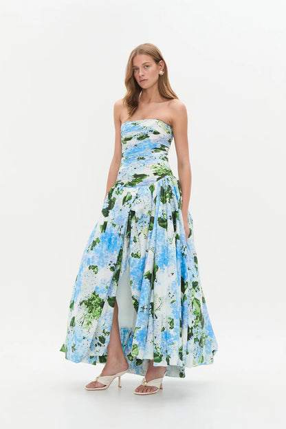 BLUE HYDRANGEA