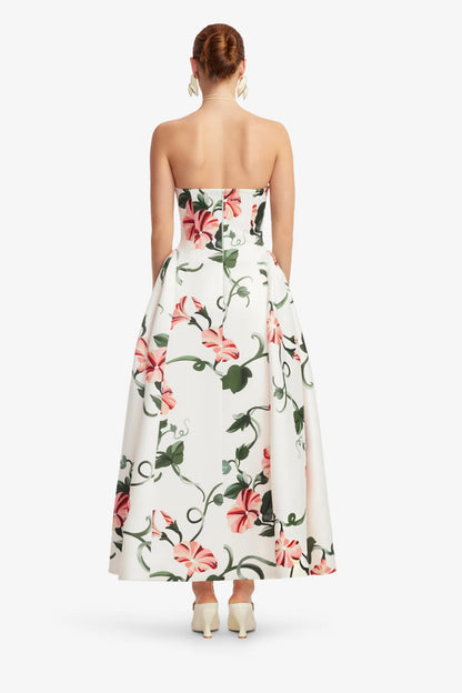 Vine Print in Snow