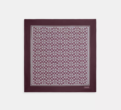 Black Currant