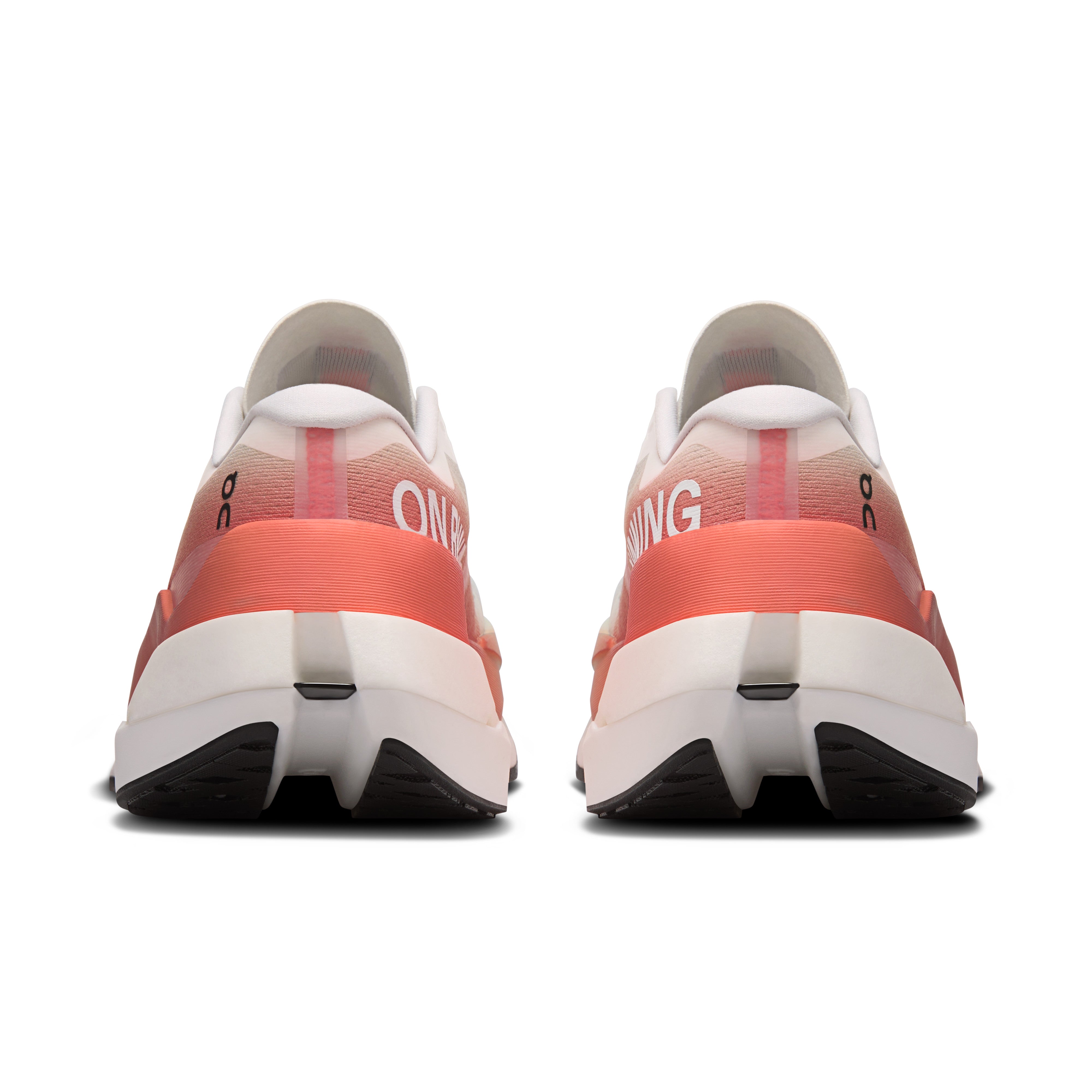 White | Reef