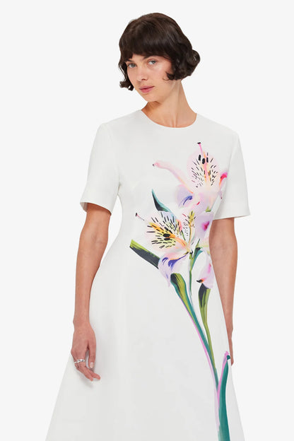 Lily Print in Snow