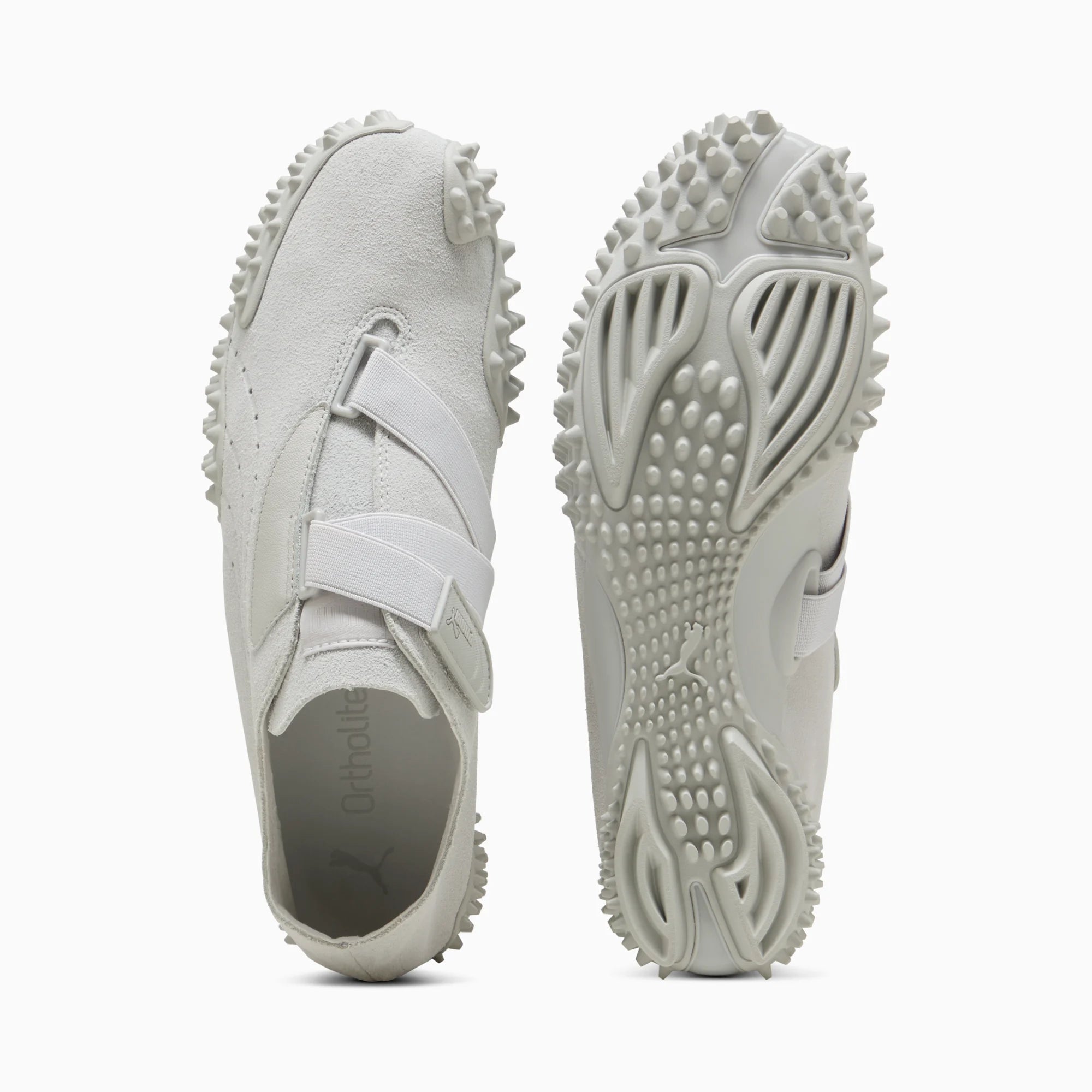 Glacial Gray-Feather Gray
