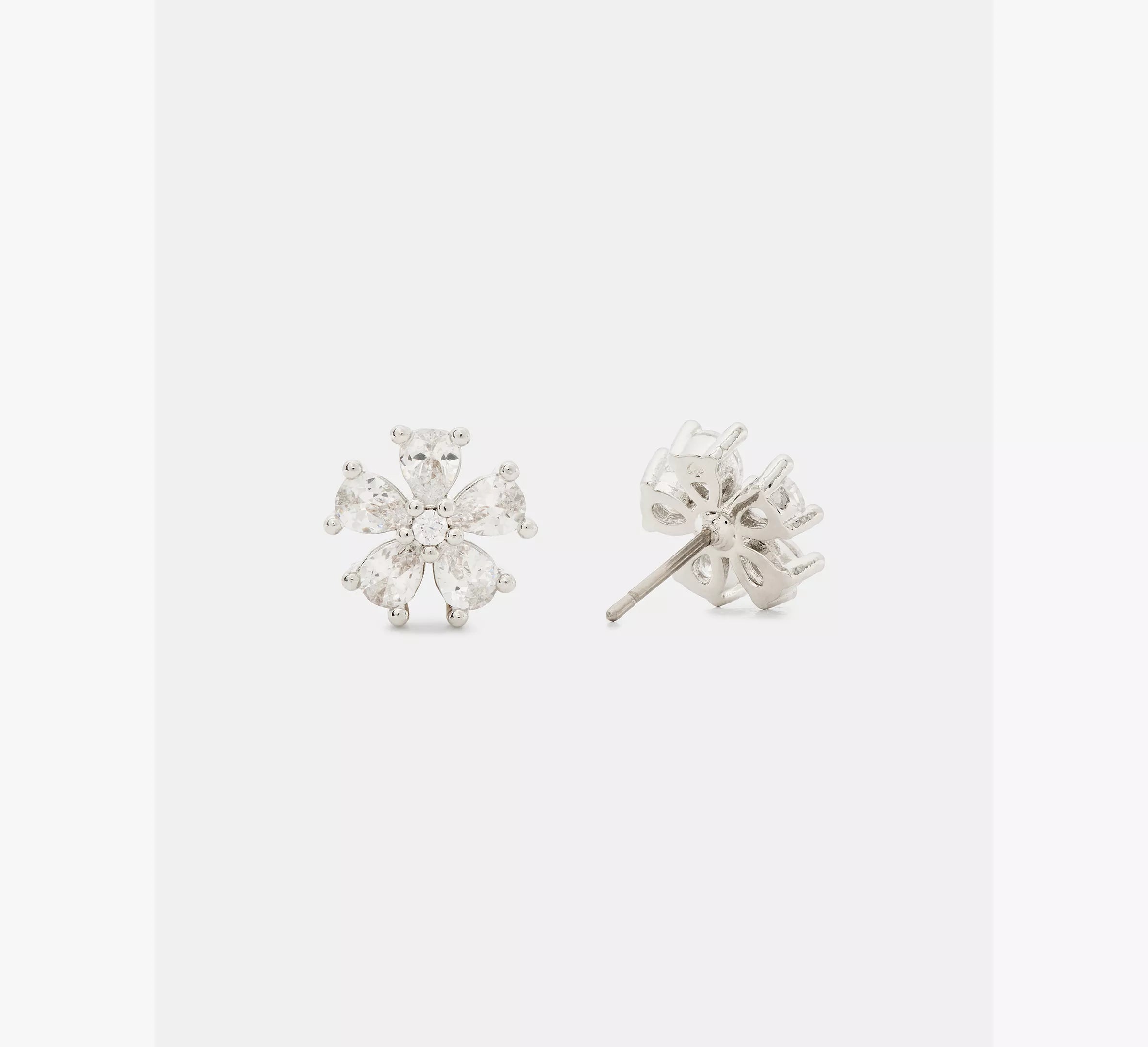 Clear/Silver