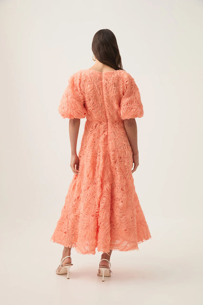 APRICOT