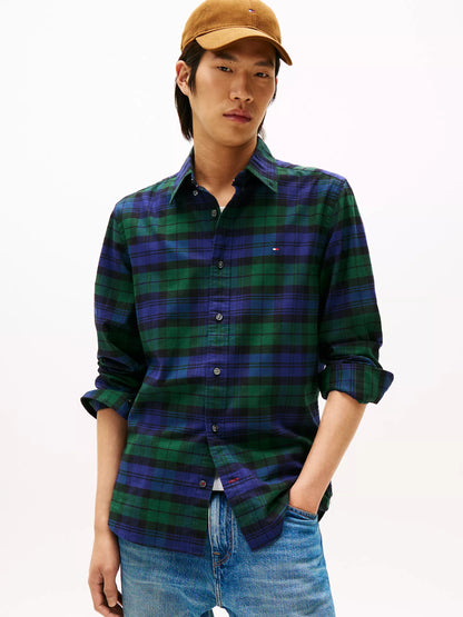 Ornamental Green/Navy