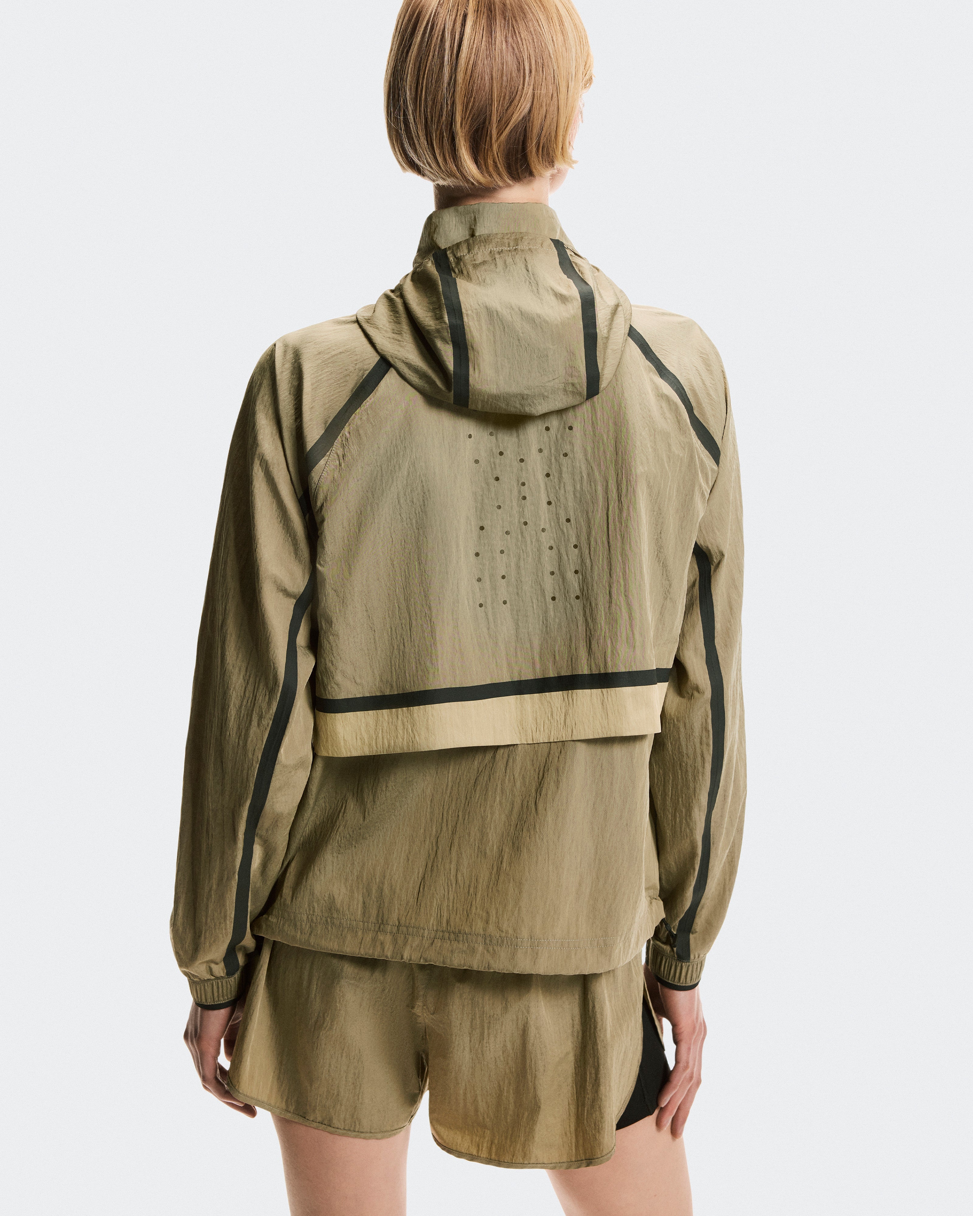 Safari
