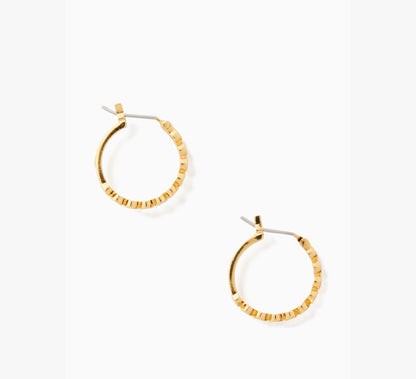 Clear/Gold