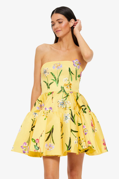 Wild Flower in Sorbet