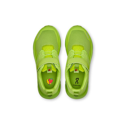Celery | Bayleaf