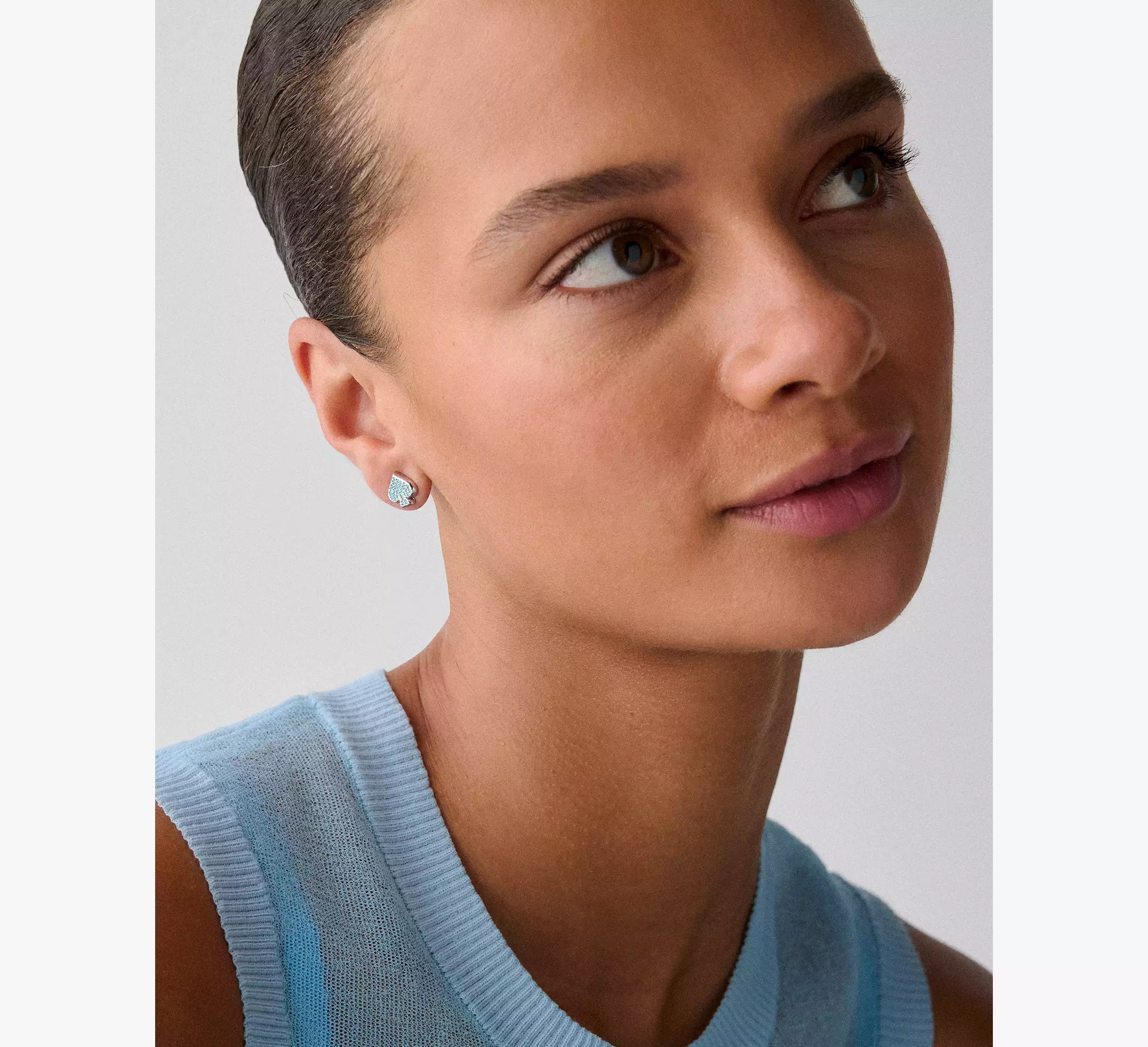Blue/Silver
