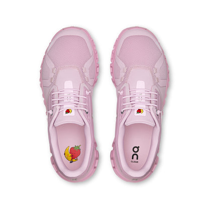 Aster | Begonia