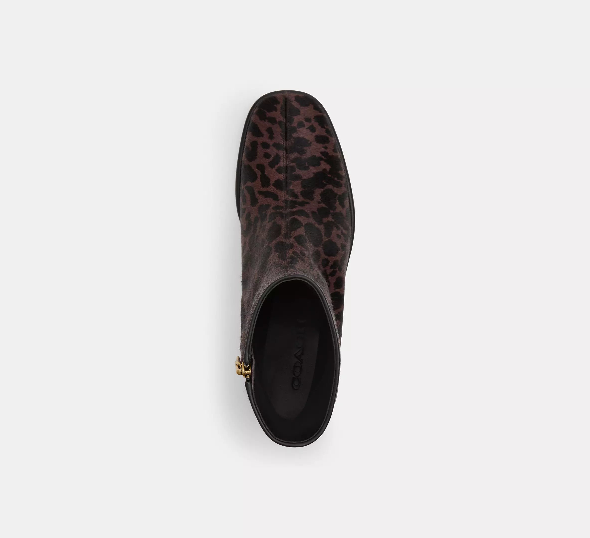 Dark Leopard