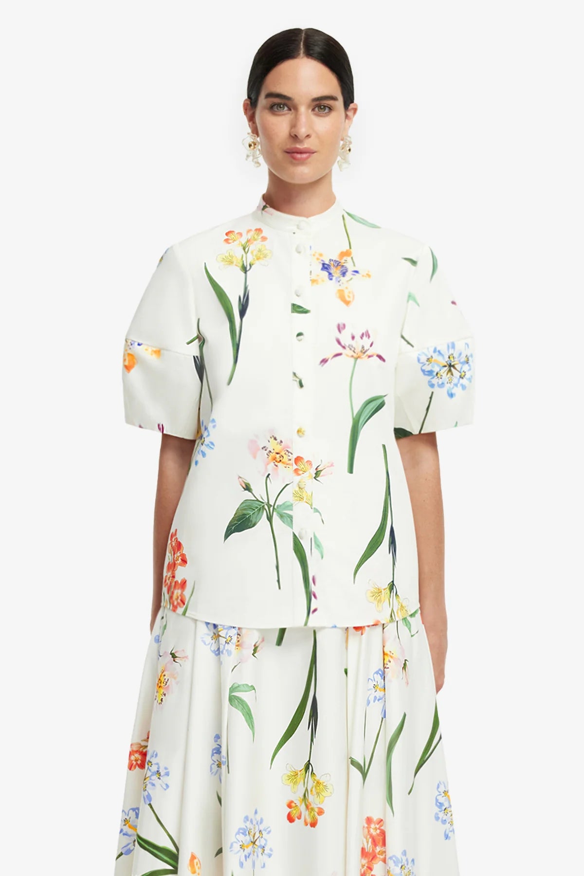 Botanical Print in Snow