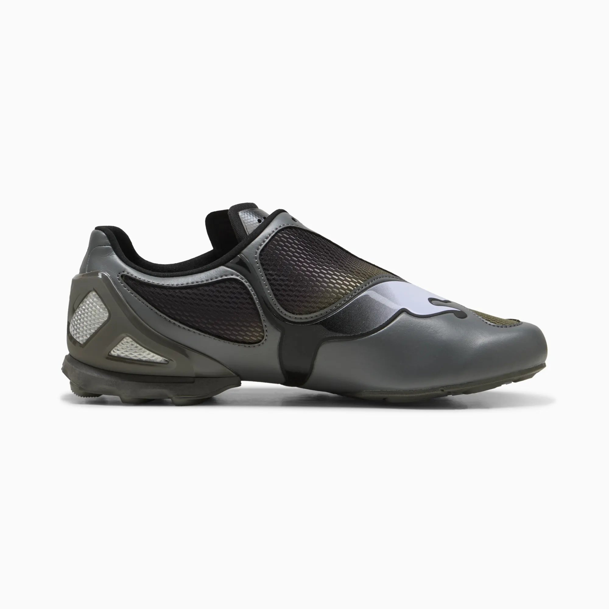 Cool Dark Gray-Loden Green