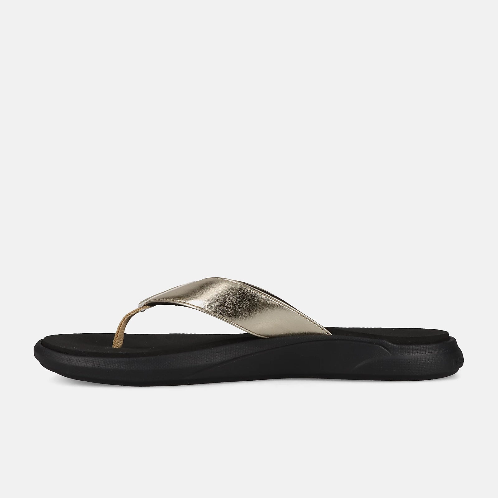 Gold With Black