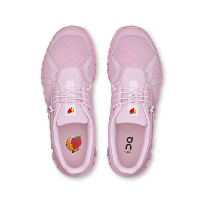 Aster | Begonia