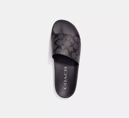 Charcoal/Black