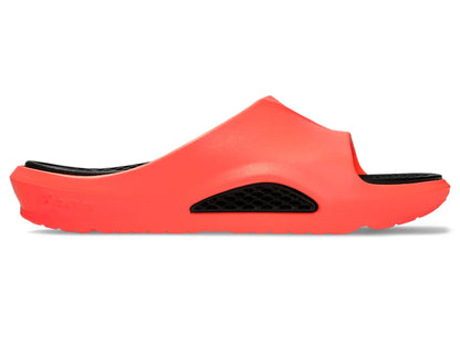 Sunrise Red/Black