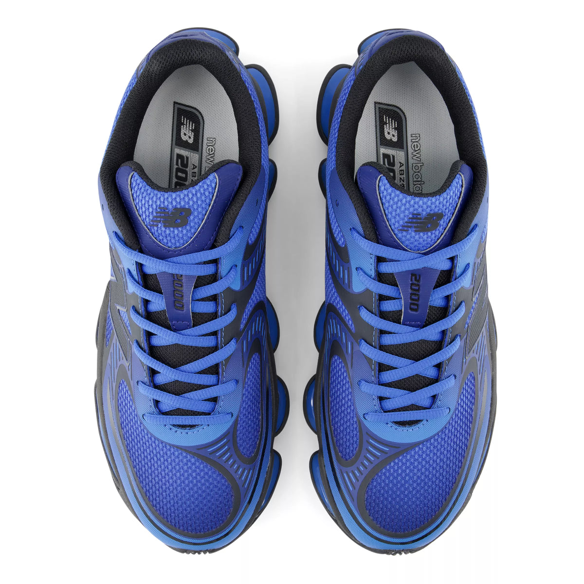 Blue Oyster With Blue Bird And Faded Black
