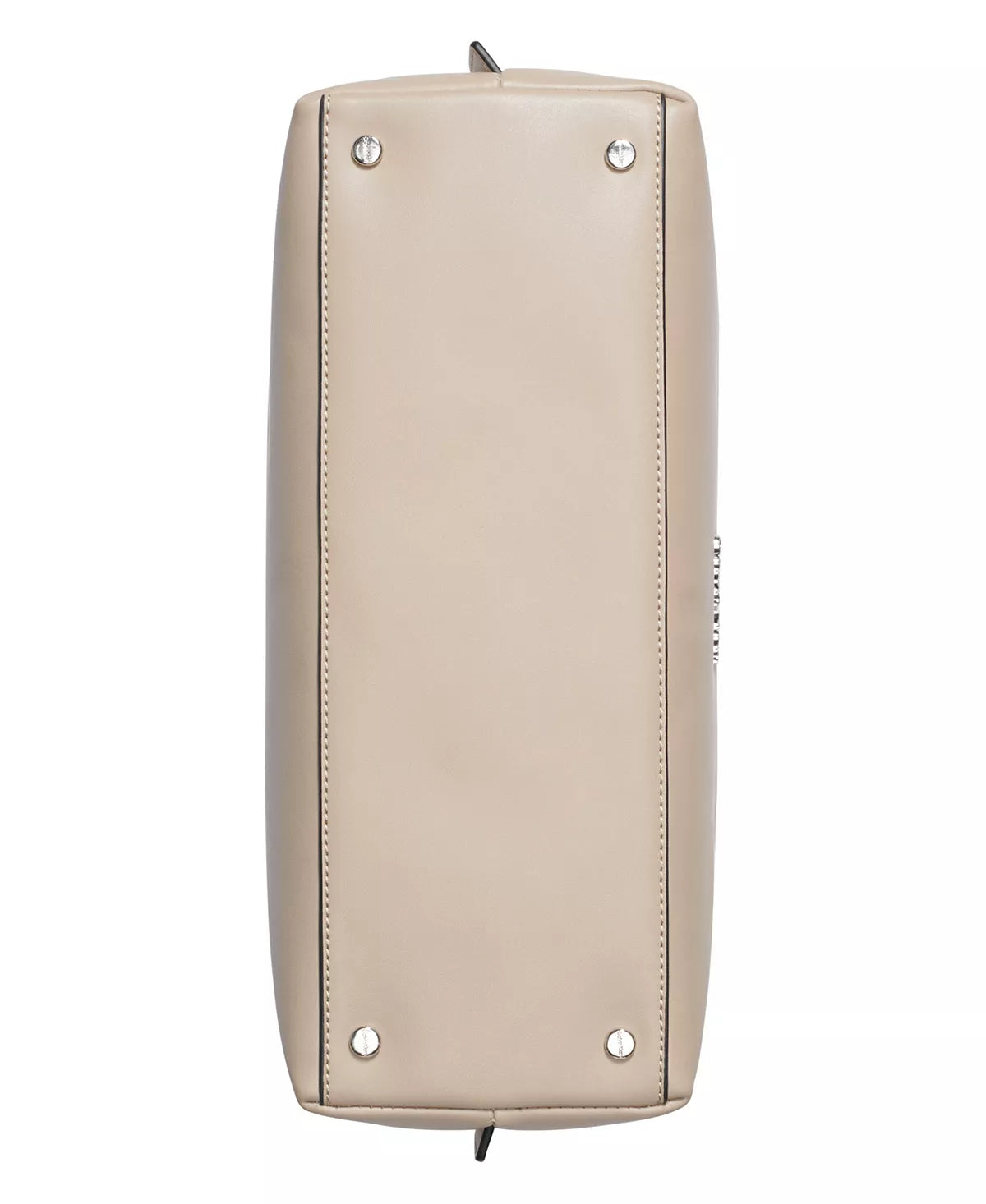 Pink Thistle