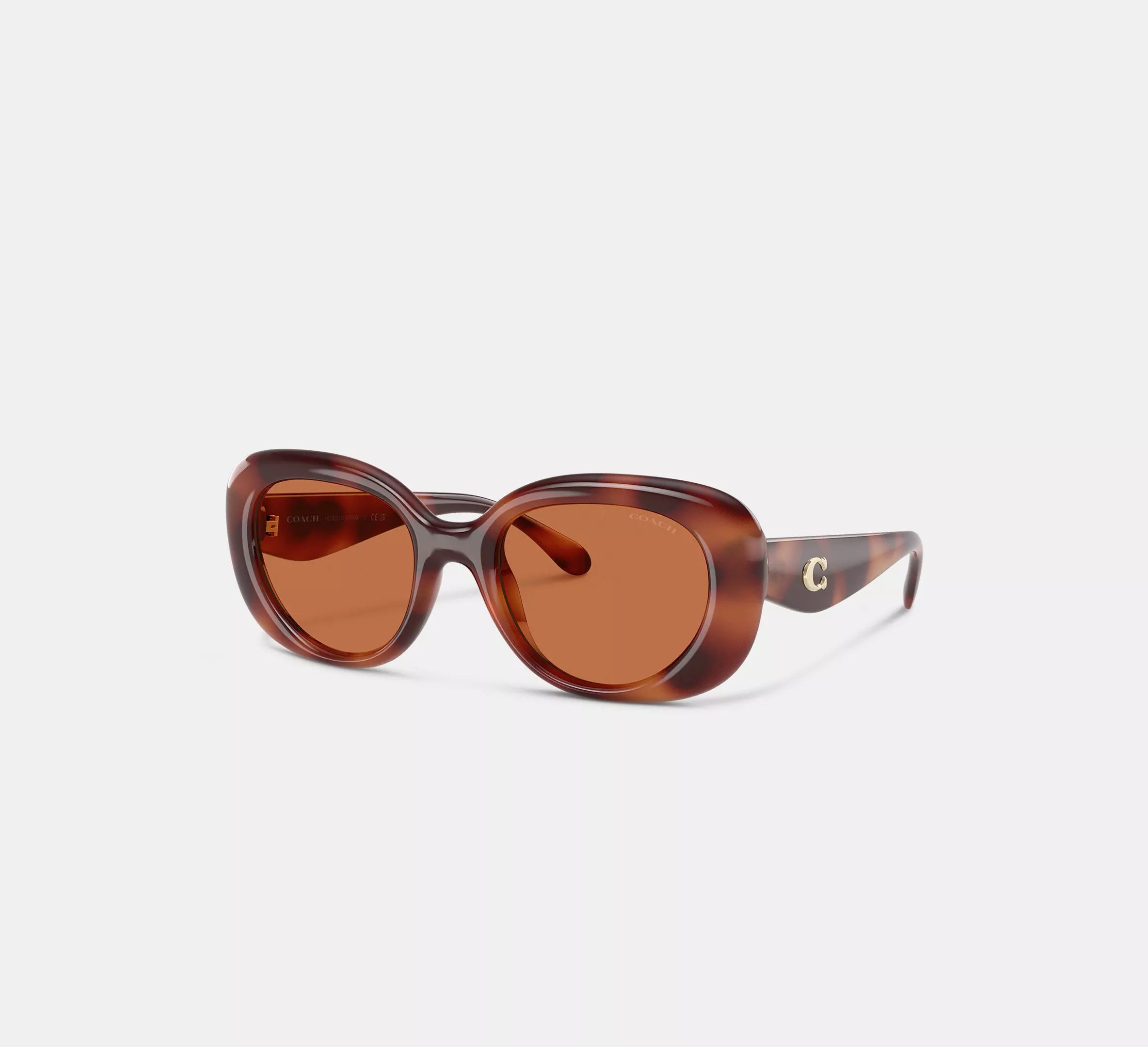 Tortoise Brown