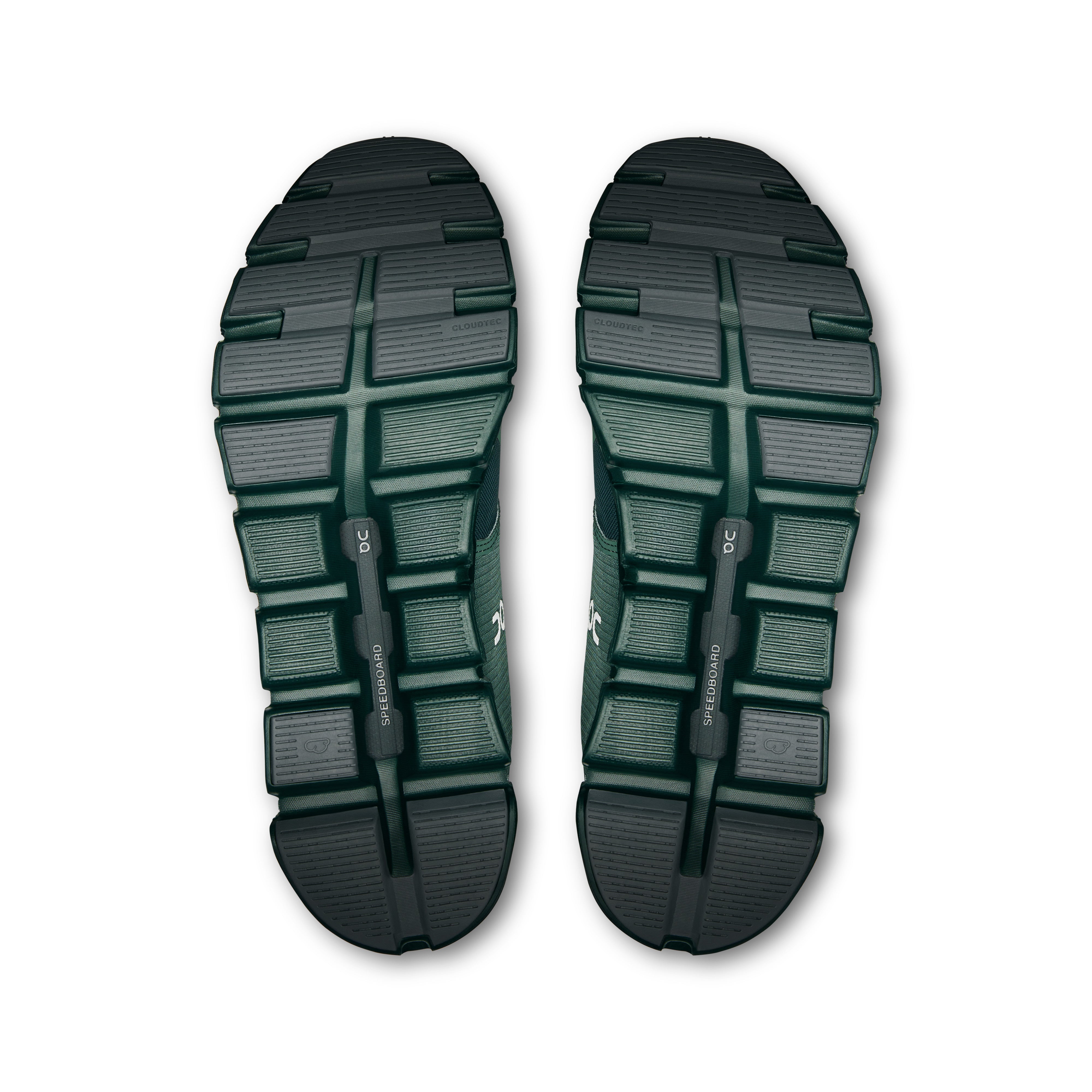 Olive | Evergreen