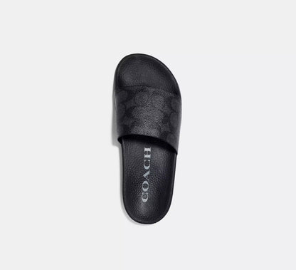 Charcoal/Black