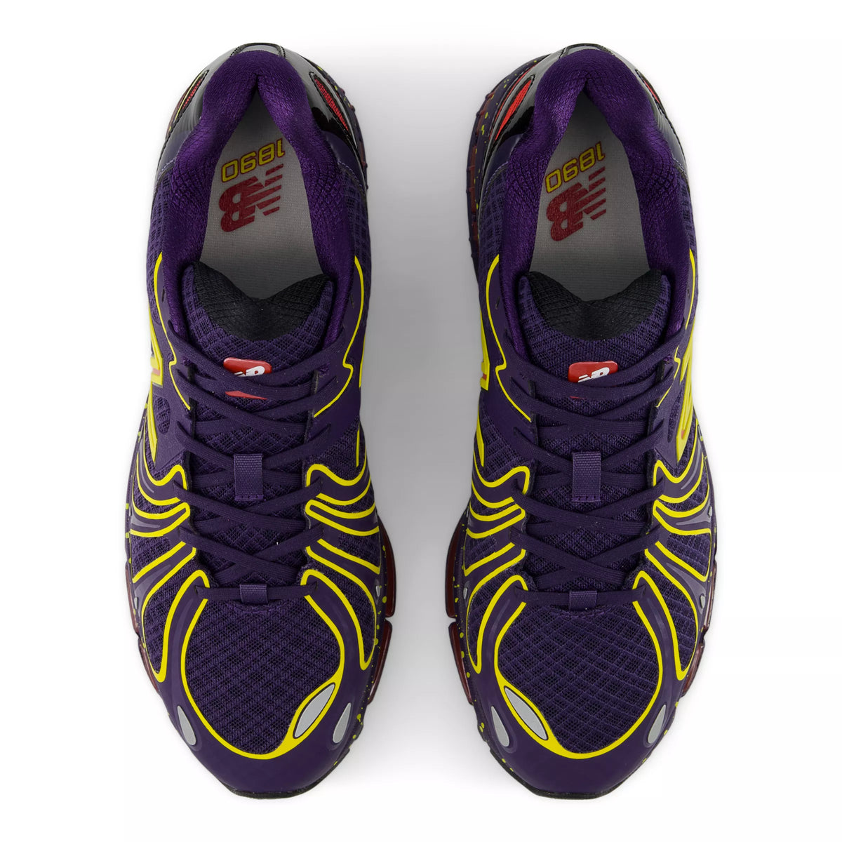 Boysenberry With Punch Yellow