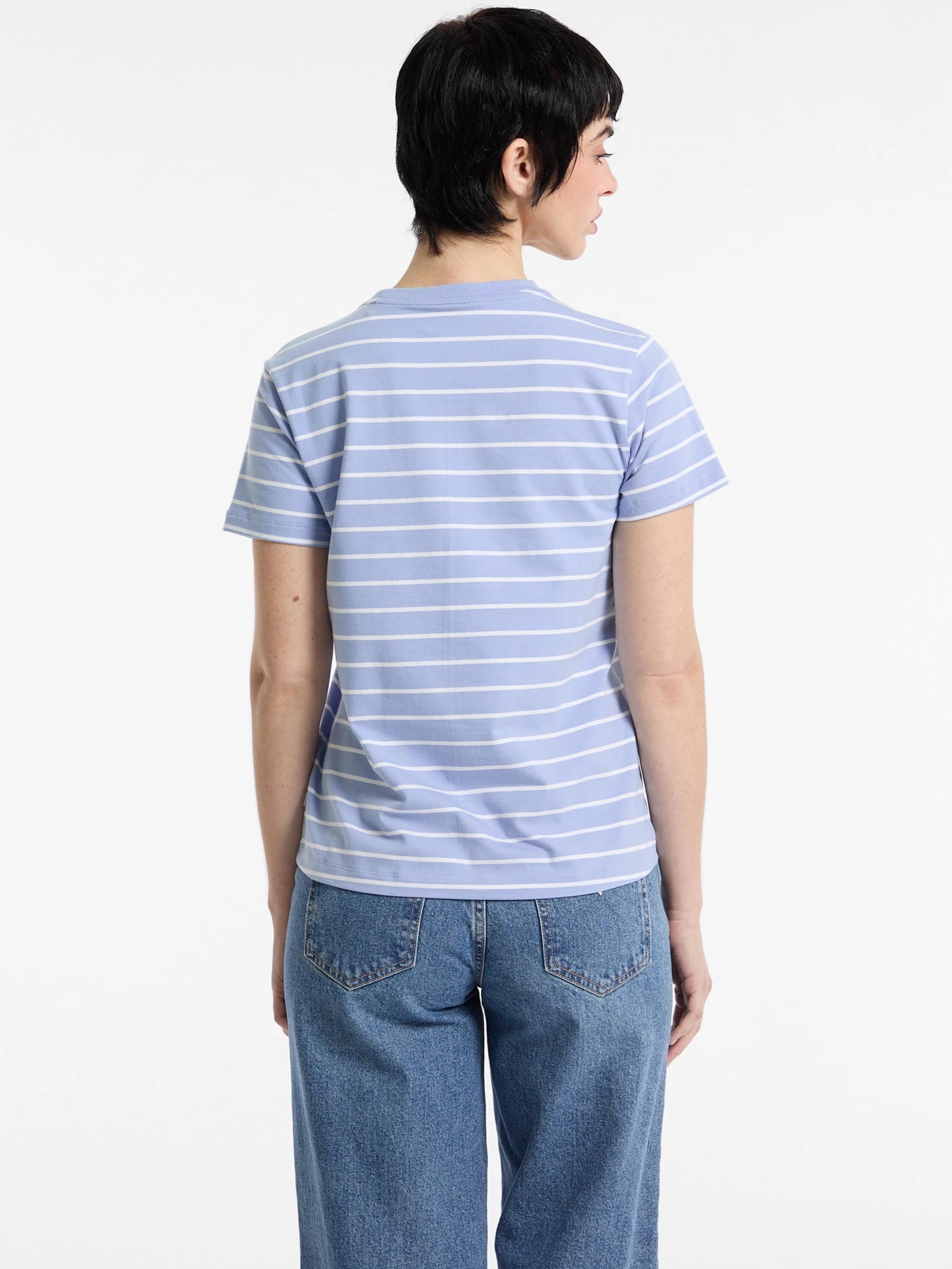 Fresh Zendy Blue Stripe