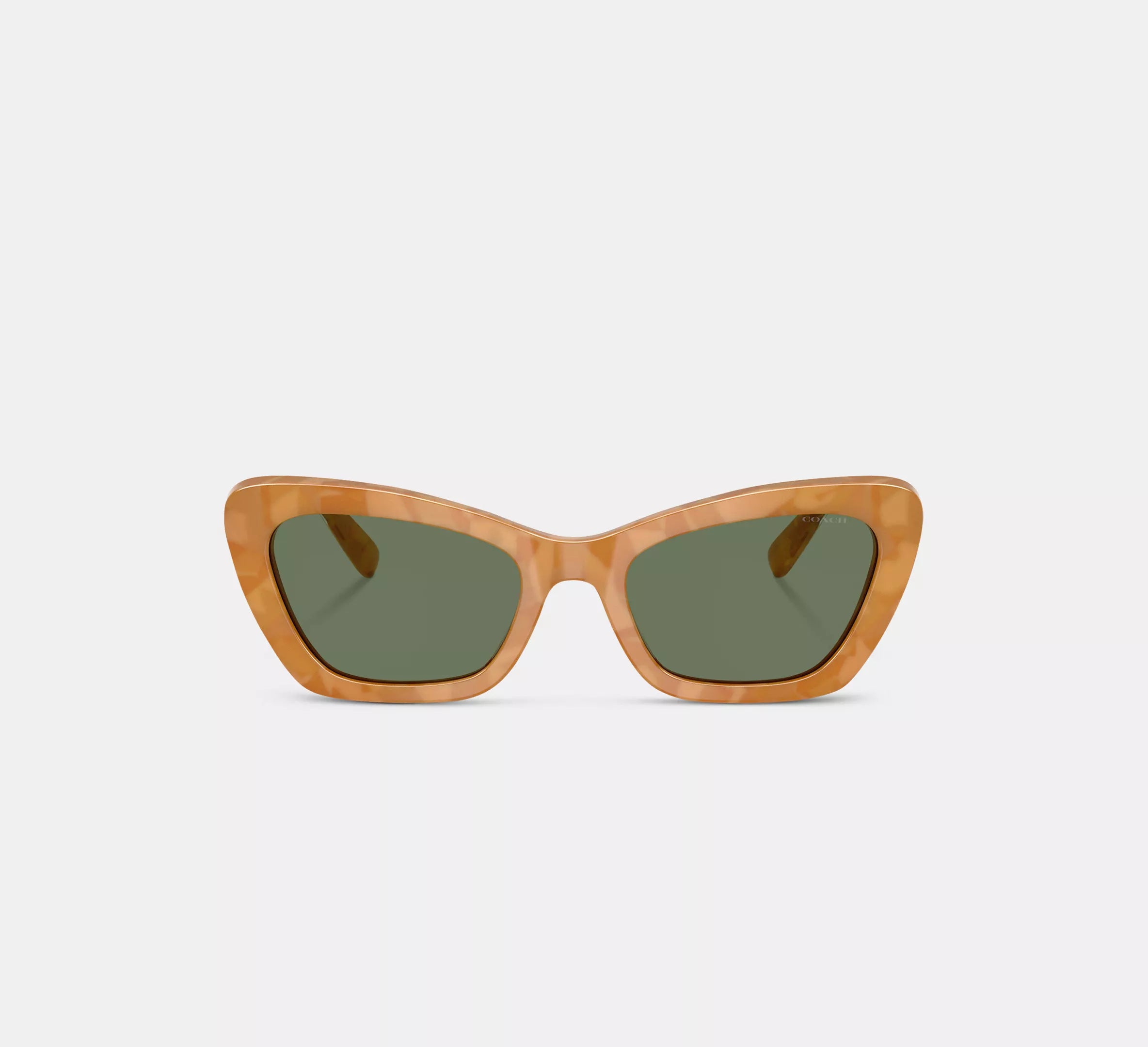 Blonde Tortoise