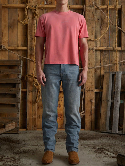 Faded Rose