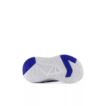 Blue Oyster With Bluebird
